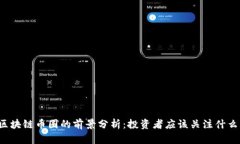 区块链币圈的前景分析：投资者应该关注什么？
