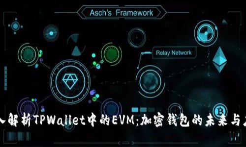 深入解析TPWallet中的EVM：加密钱包的未来与应用