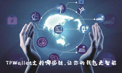 TPWallet支持哪些链，让你的钱包更智能