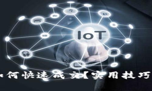 TPWallet如何快速成交？实用技巧与用户指南