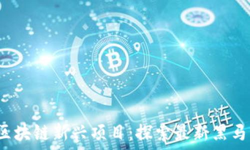   
2023年区块链新兴项目：探索最新黑马及其潜力