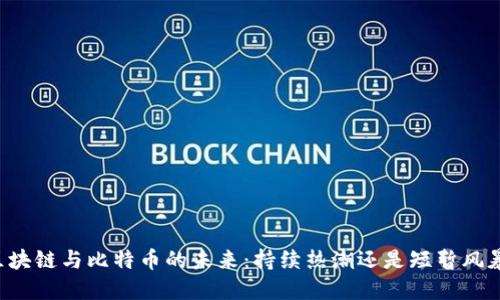 区块链与比特币的未来：持续热潮还是短暂风暴？