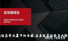 :区块链监管风暴下的币圈：未来发展趋势与风险