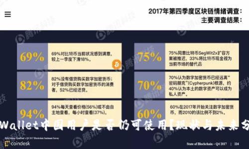 TPWallet中国用户是否仍可使用？现状与未来分析