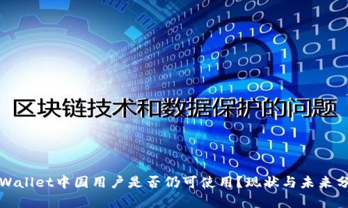 TPWallet中国用户是否仍可使用？现状与未来分析
