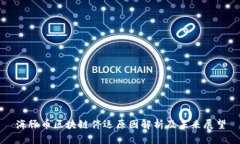 海豚币区块链停运原因解析及未来展望