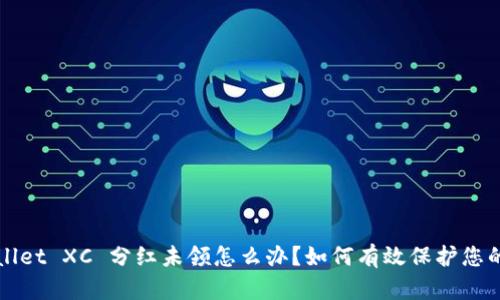 TPWallet XC 分红未领怎么办？如何有效保护您的权益