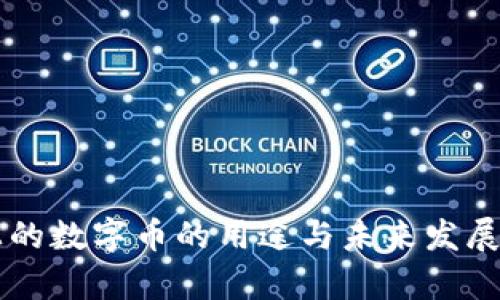 区块链上的数字币的用途与未来发展趋势分析