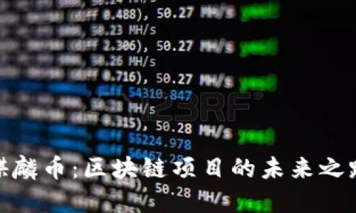 麒麟币：区块链项目的未来之路