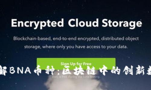 深入了解BNA币种：区块链中的创新数字货币