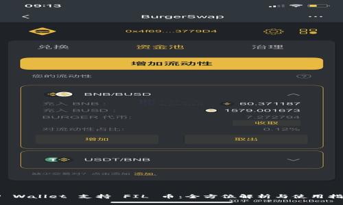 TP Wallet 支持 FIL 币：全方位解析与使用指南