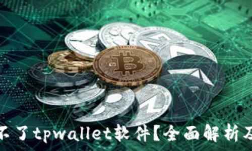   
为何下载不了tpwallet软件？全面解析及解决方案