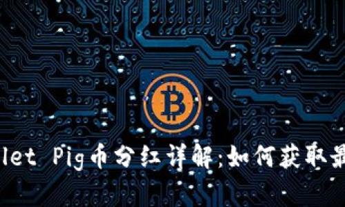 TP Wallet Pig币分红详解：如何获取最大收益