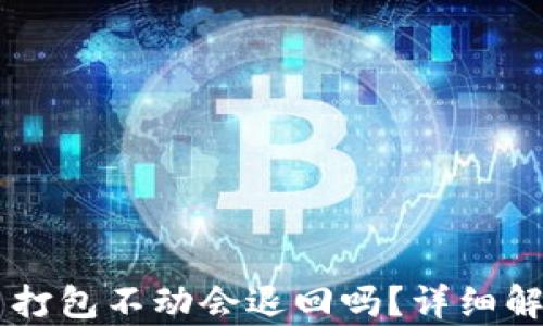 
TPWallet转币打包不动会退回吗？详细解析及解决办法