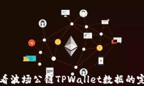 
如何查看波场公链TPWallet数据的完整指南