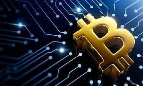 

区块链币种的全面区分：从比特币到山寨币的深入解析