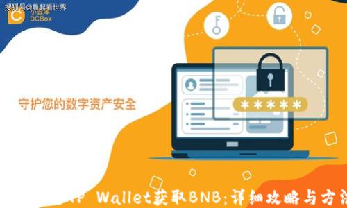 
如何通过TP Wallet获取BNB：详细攻略与方法