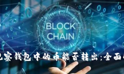 TP观察钱包中的币能否转出：全面解析