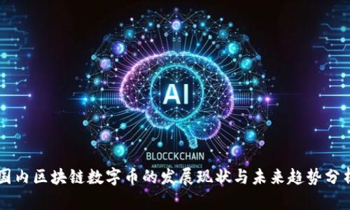 国内区块链数字币的发展现状与未来趋势分析