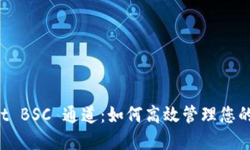 TP Wallet BSC 通道：如何高效管理您的数字资产