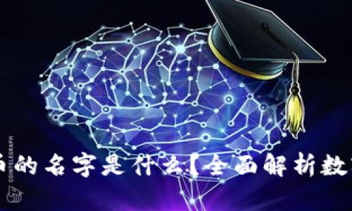 区块链人民币的名字是什么？全面解析数字货币的未来