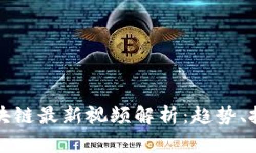 优质吕新浩区块链最新视频解析：趋势、技术与应用前景