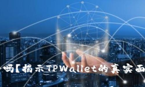 TPWallet安全吗？揭示TPWallet的真实面貌与风险解析