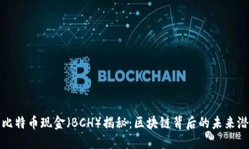 : 比特币现金（BCH）揭秘：区块链背后的未来潜力