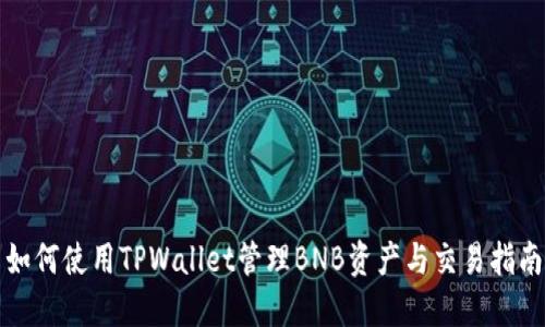 如何使用TPWallet管理BNB资产与交易指南