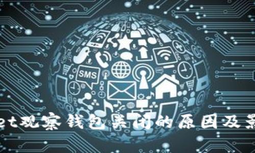 TPWallet观察钱包关闭的原因及影响分析