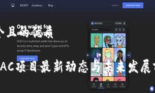 思考一个且的优质

区块链PAC项目最新动态与未来发展前景分析