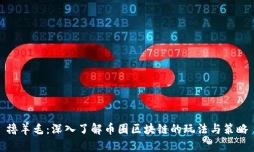 撸羊毛：深入了解币圈区块链的玩法与策略