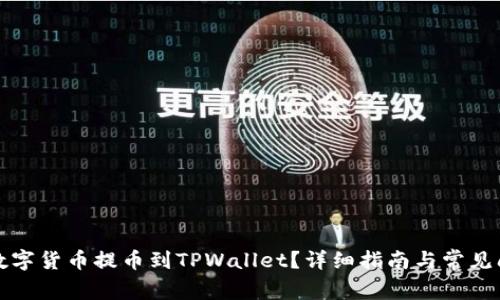 如何将数字货币提币到TPWallet？详细指南与常见问题解答