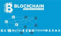 如何通过TP Wallet查看波场（TRON）排名及相关数据