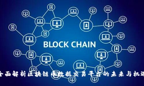 全面解析区块链币数据交易平台的未来与机遇