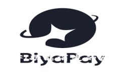 TPWallet的DeFi功能消失的原因与未来展望