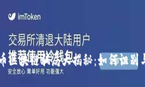 虚拟币区块链骗局大揭秘：如何识别与防范
