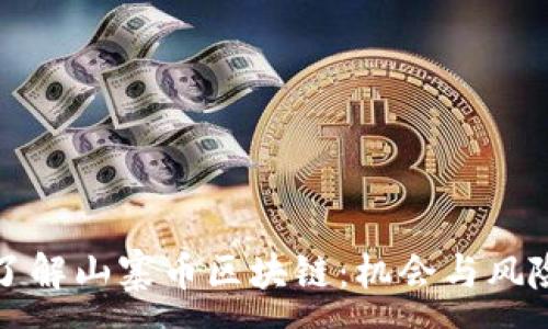 :
深入了解山寨币区块链：机会与风险并存