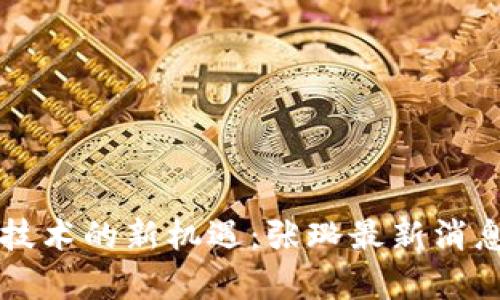 区块链技术的新机遇：张璐最新消息与分析