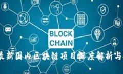2023年最新国内区块链项目深度解析与投资机会