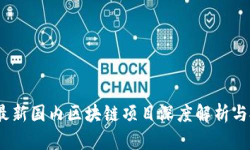 2023年最新国内区块链项目深度解析与投资机会
