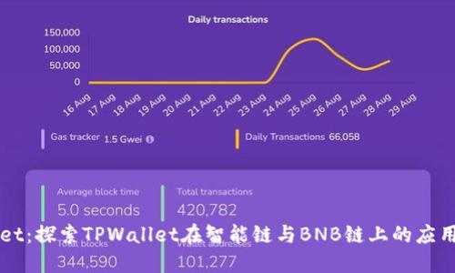 TPWallet：探索TPWallet在智能链与BNB链上的应用与特点
