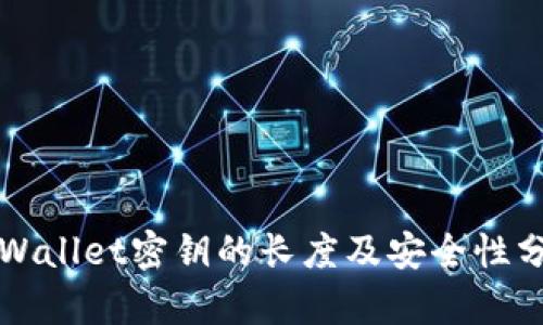 TPWallet密钥的长度及安全性分析