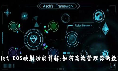 TPWallet EOS映射功能详解：如何高效管理你的数字资产