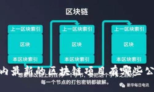 :国内最新的区块链项目有哪些公司？