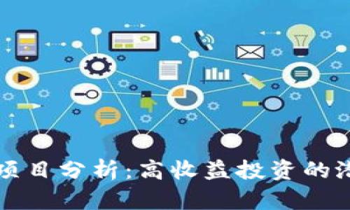 TPWallet项目分析：高收益投资的潜力与机会