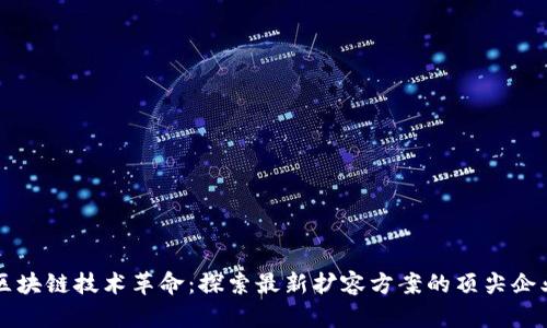 区块链技术革命：探索最新扩容方案的顶尖企业