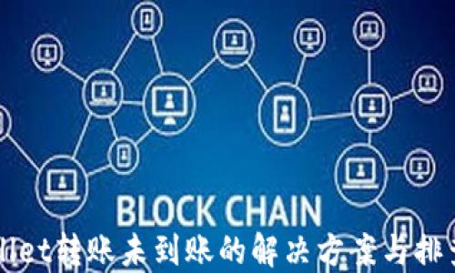 
TPWallet转账未到账的解决方案与排查指南