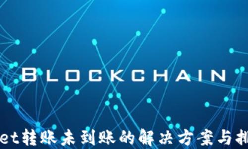 
TPWallet转账未到账的解决方案与排查指南