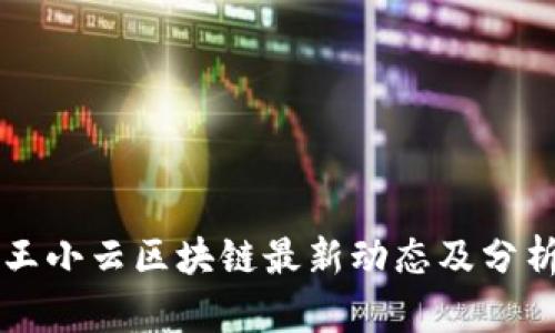 王小云区块链最新动态及分析